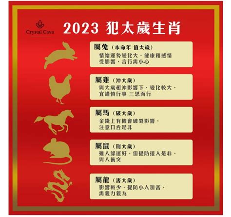 2023雞犯太歲|【屬雞2023生肖運勢】犯太歲險阻多，感情幾經波。